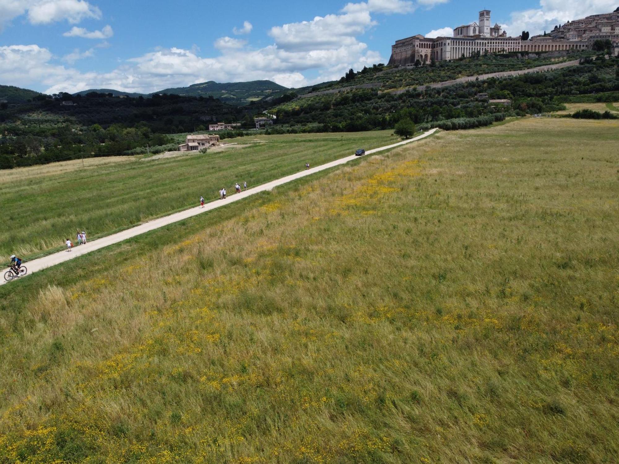 Agriturismo Molinella Asís Exterior foto